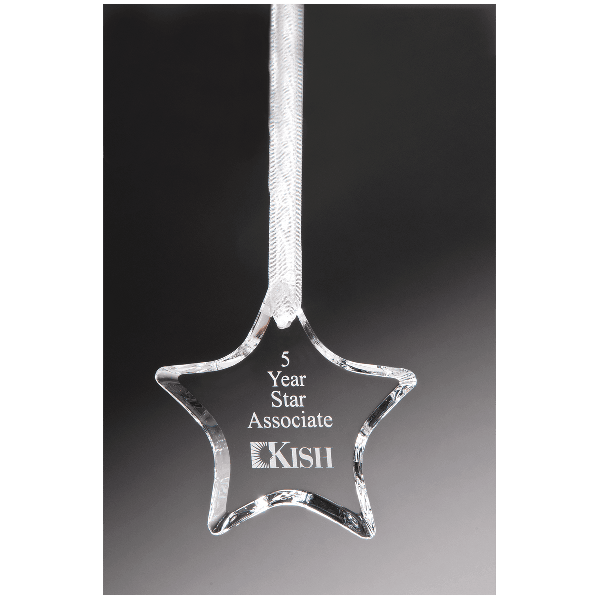 Crystal Star Ornament Award