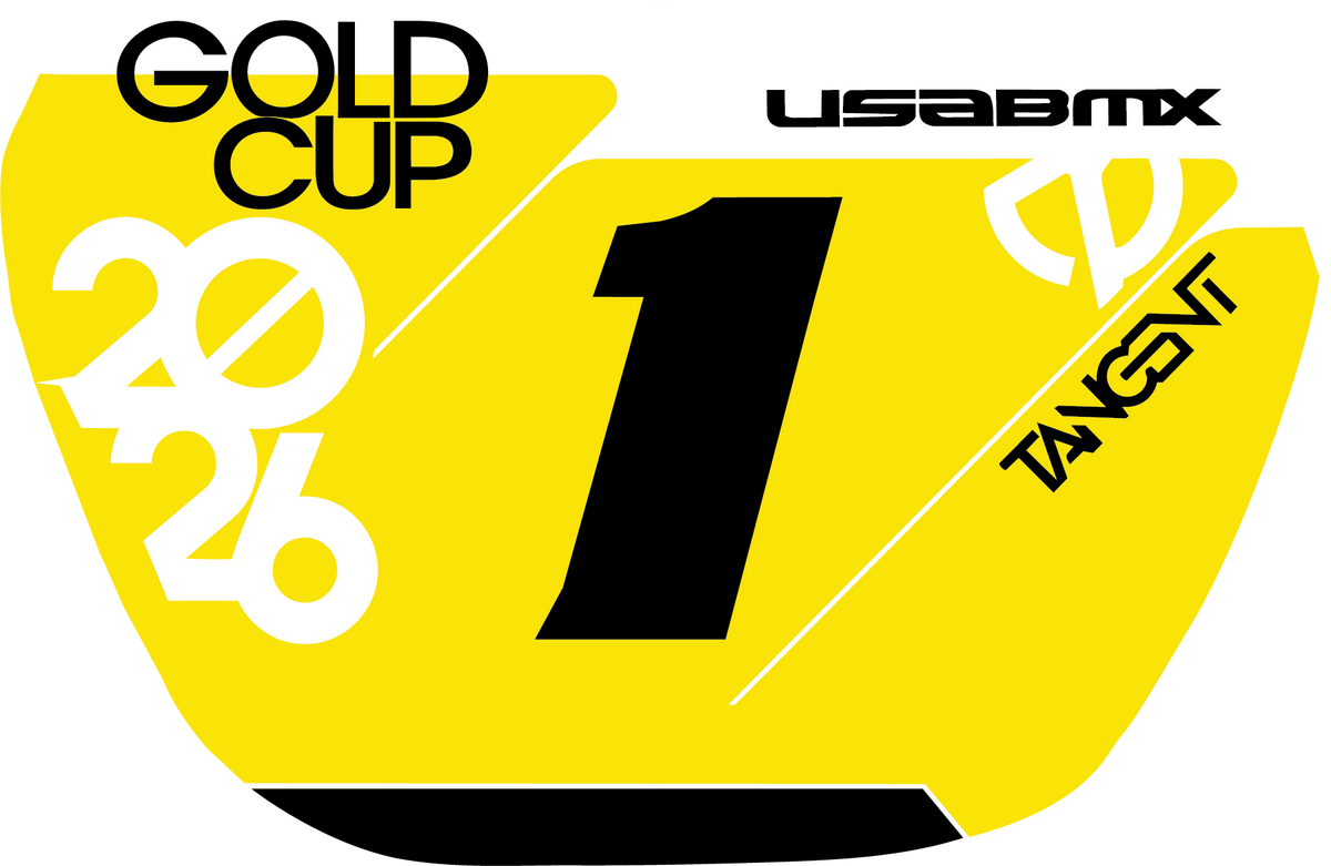 Personalized USA BMX Number Plate Ornament – Custom BMX Rider Christmas Ornament