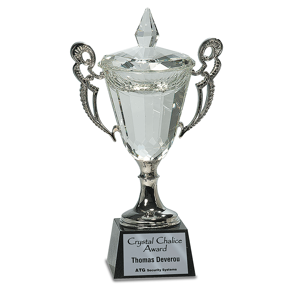 Crystal Cup with Handles and Stem Award