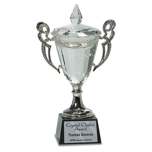 Crystal Cup with Handles and Stem Award