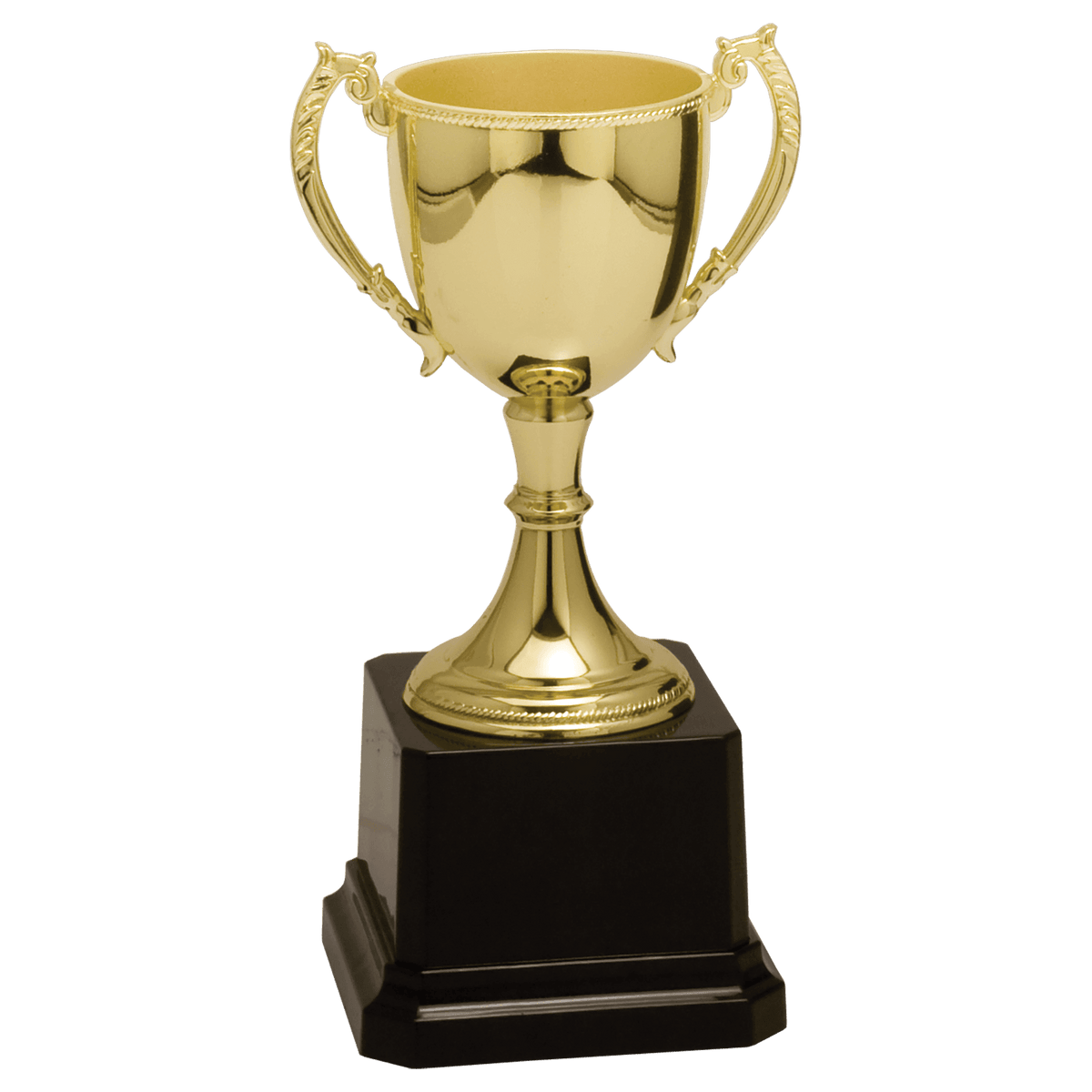 Completed Zinc Cup Trophy Award