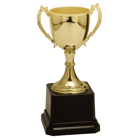 Completed Zinc Cup Trophy Award