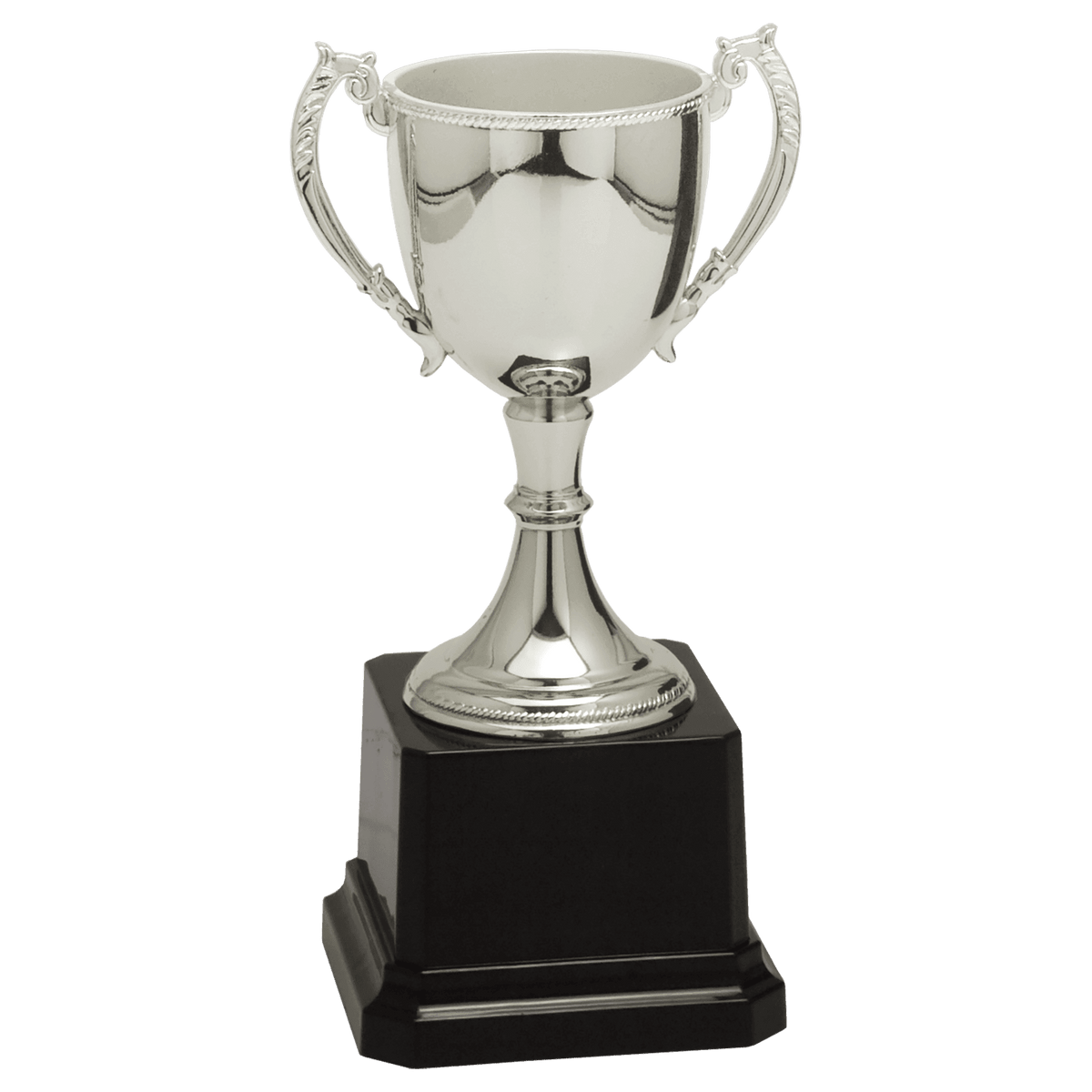 Completed Zinc Cup Trophy Award