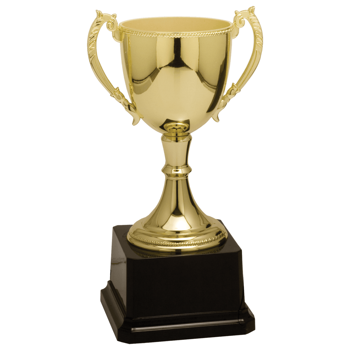 Completed Zinc Cup Trophy Award