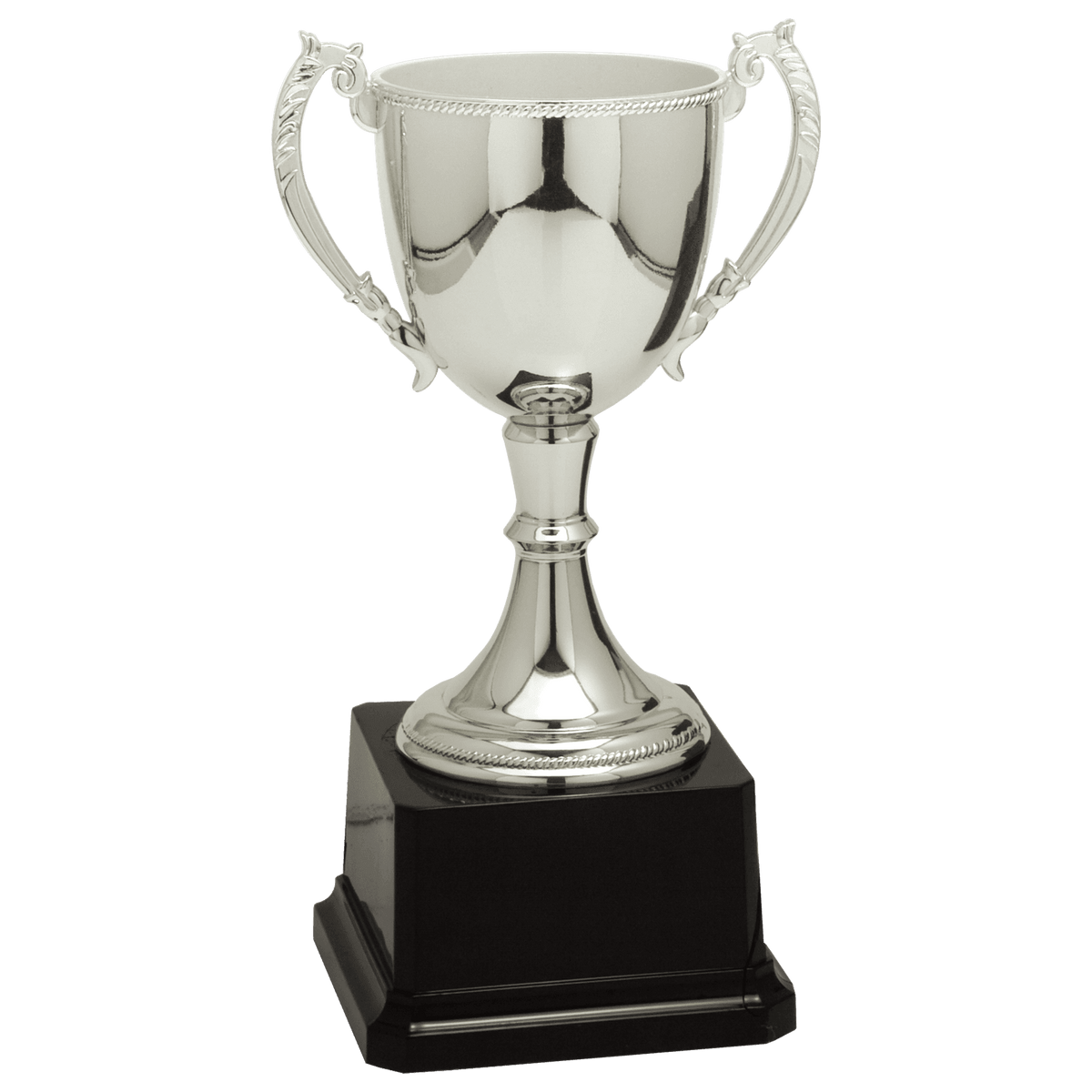 Completed Zinc Cup Trophy Award