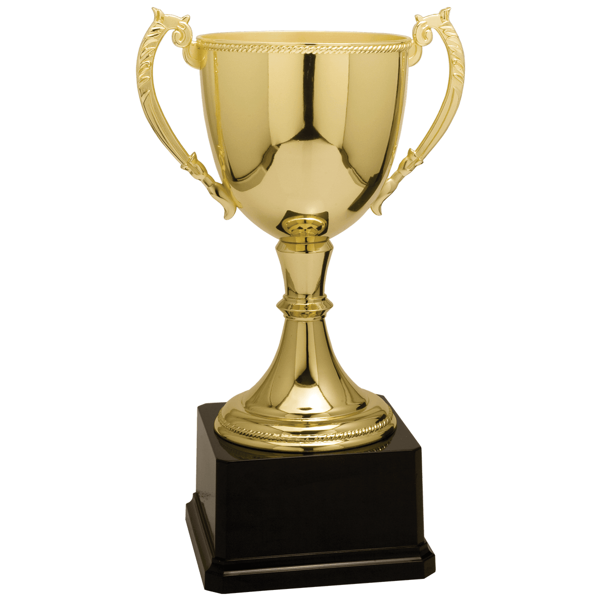 Completed Zinc Cup Trophy Award