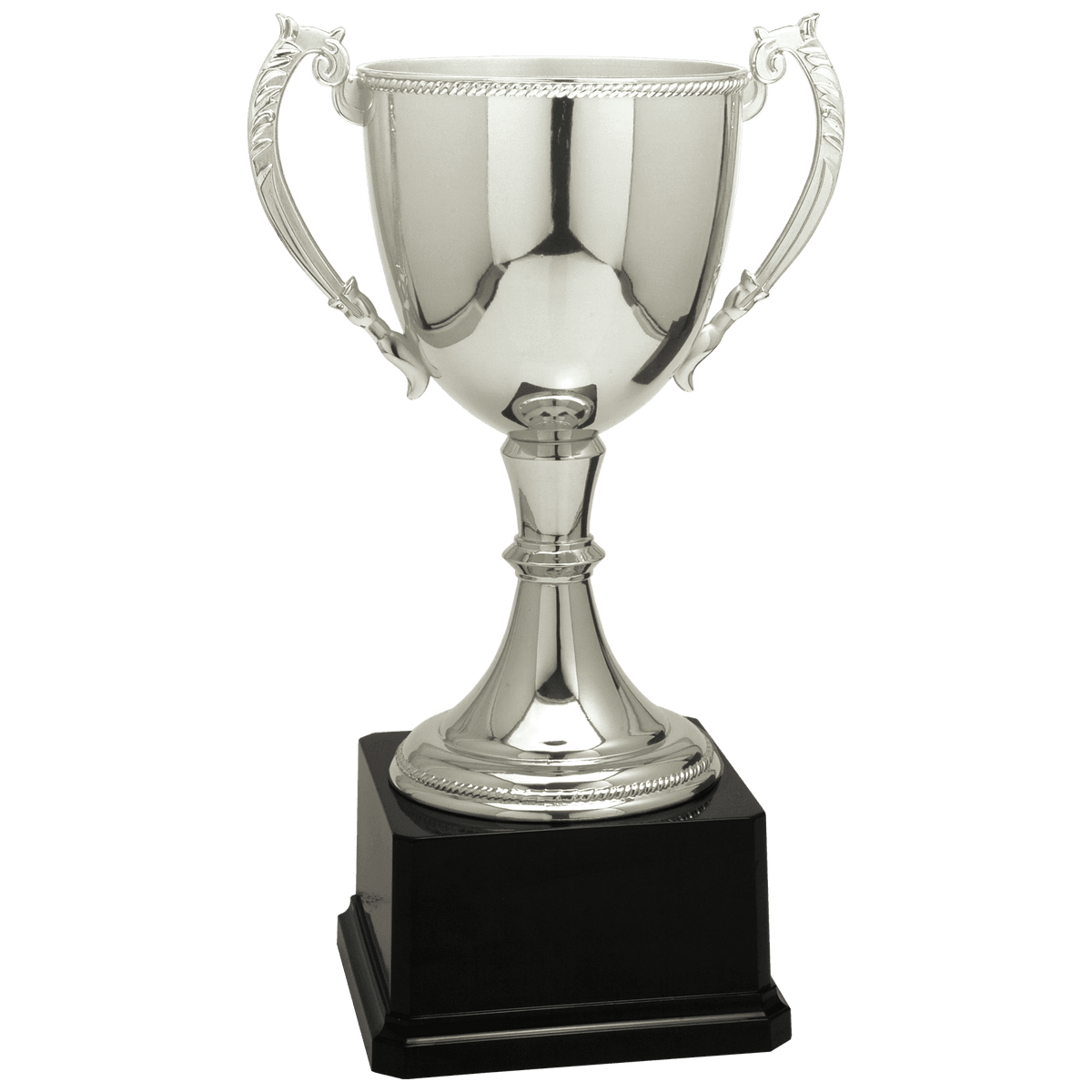 Completed Zinc Cup Trophy Award