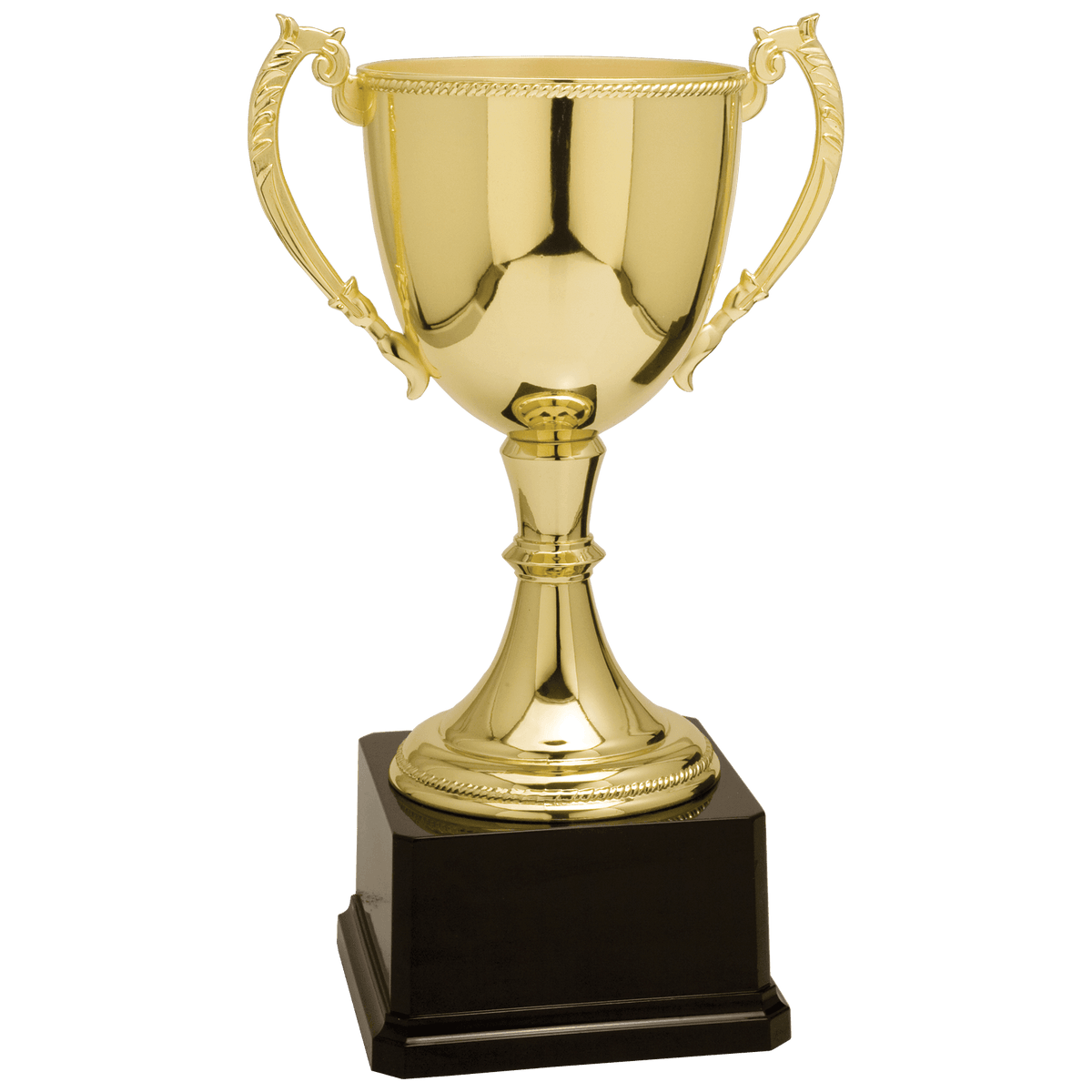 Completed Zinc Cup Trophy Award
