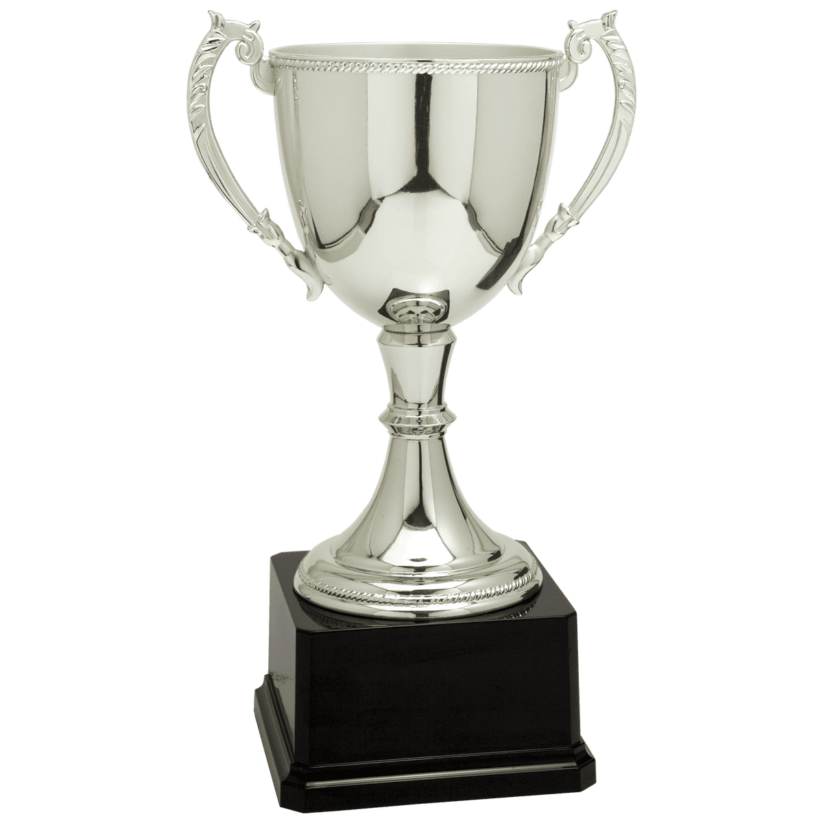 Completed Zinc Cup Trophy Award