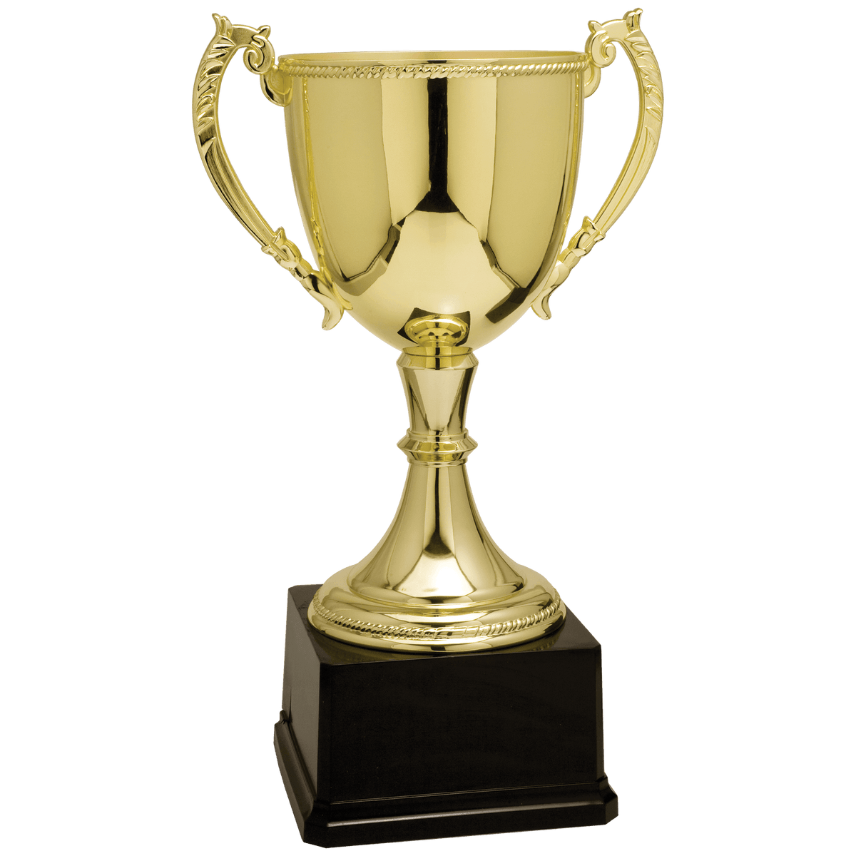 Completed Zinc Cup Trophy Award