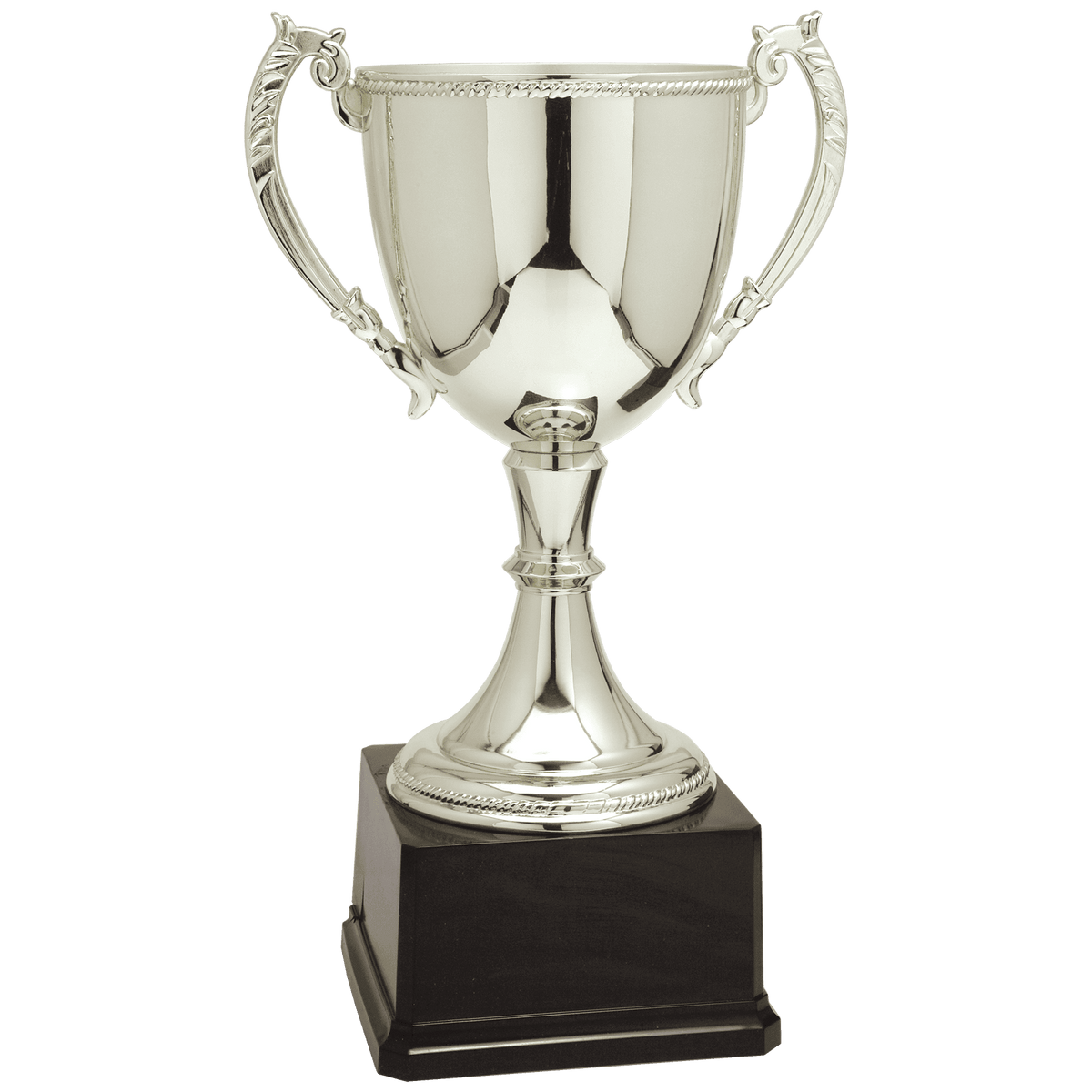 Completed Zinc Cup Trophy Award