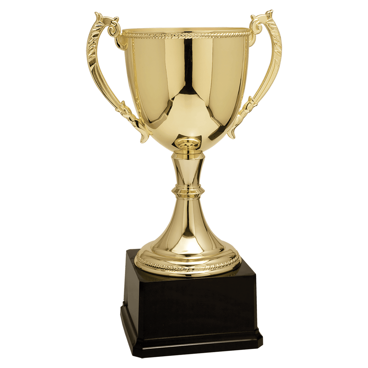 Completed Zinc Cup Trophy Award