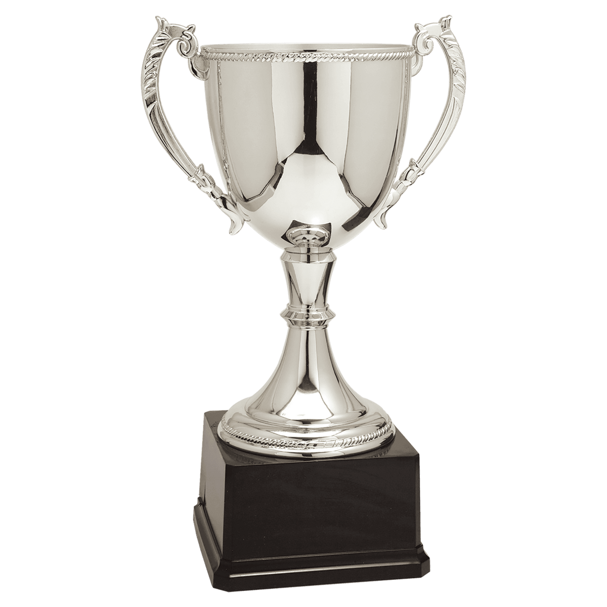 Completed Zinc Cup Trophy Award
