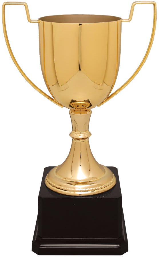 Completed Zinc Cup Trophy on Plastic Base Award