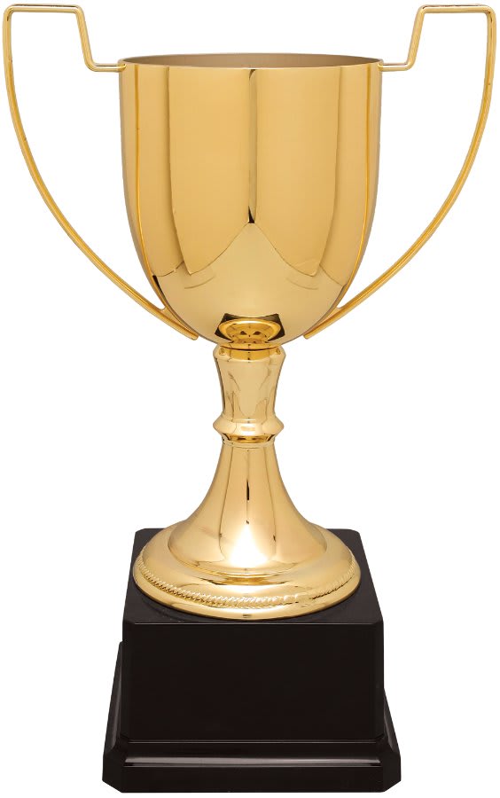 Completed Zinc Cup Trophy on Plastic Base Award