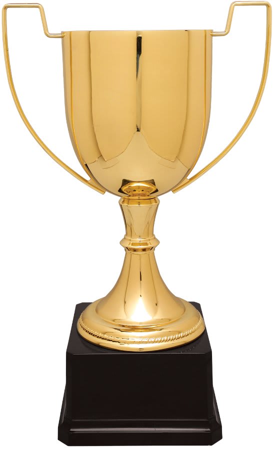 Completed Zinc Cup Trophy on Plastic Base Award
