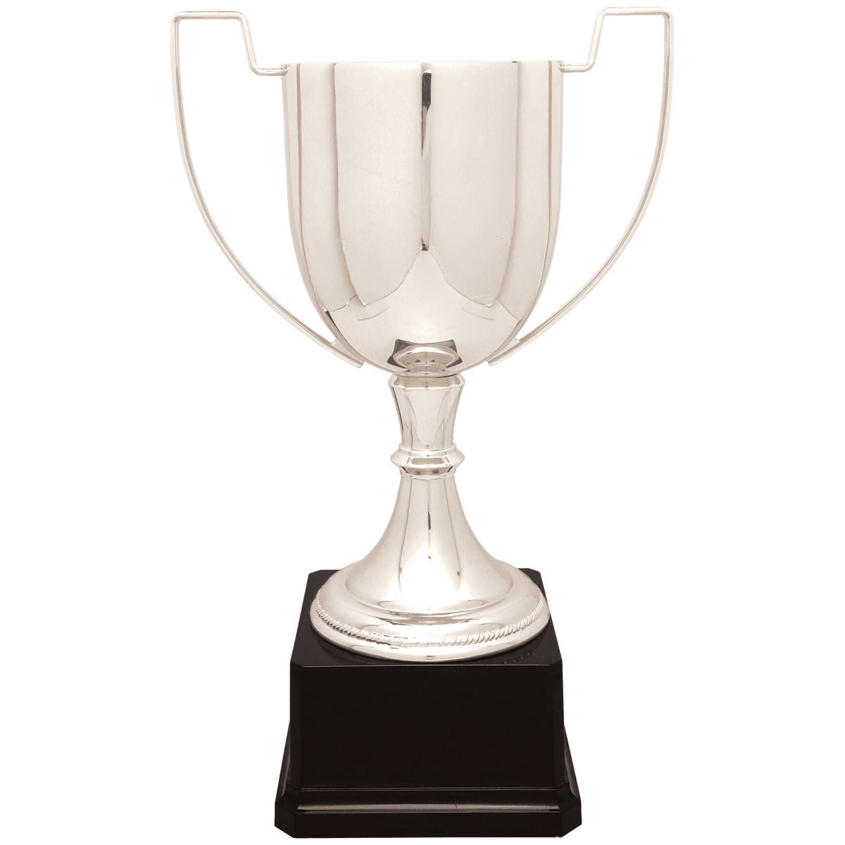 Completed Zinc Cup Trophy on Plastic Base Award