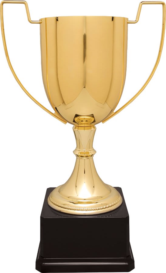 Completed Zinc Cup Trophy on Plastic Base Award