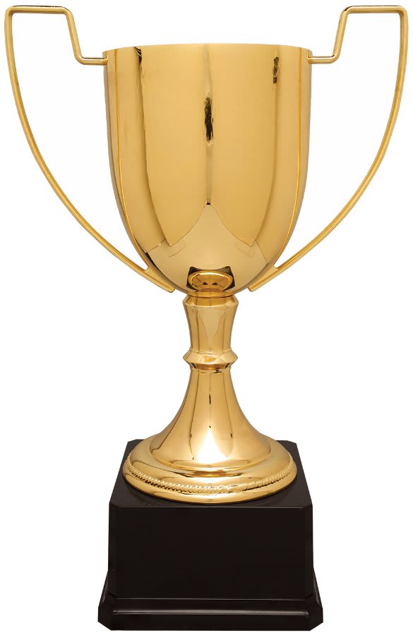 Completed Zinc Cup Trophy on Plastic Base Award