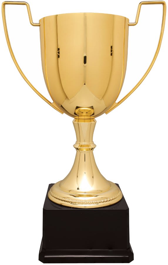 Completed Zinc Cup Trophy on Plastic Base Award