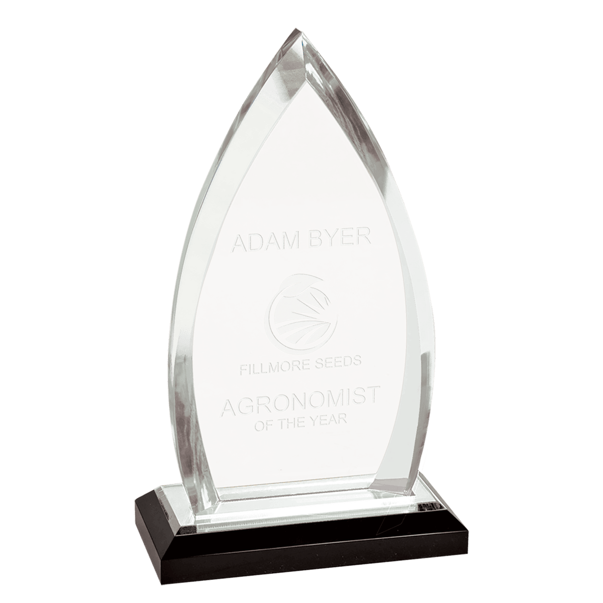 Oval Impress Acrylic Award