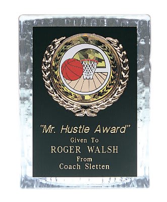 Clear Sculpted Ice Standing Plaque Award