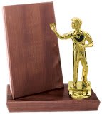 Value Stand-Up Plaque Award