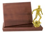 Value Stand-Up Plaque Award